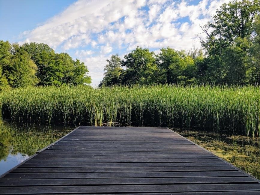 ariens deluxe 28 manual